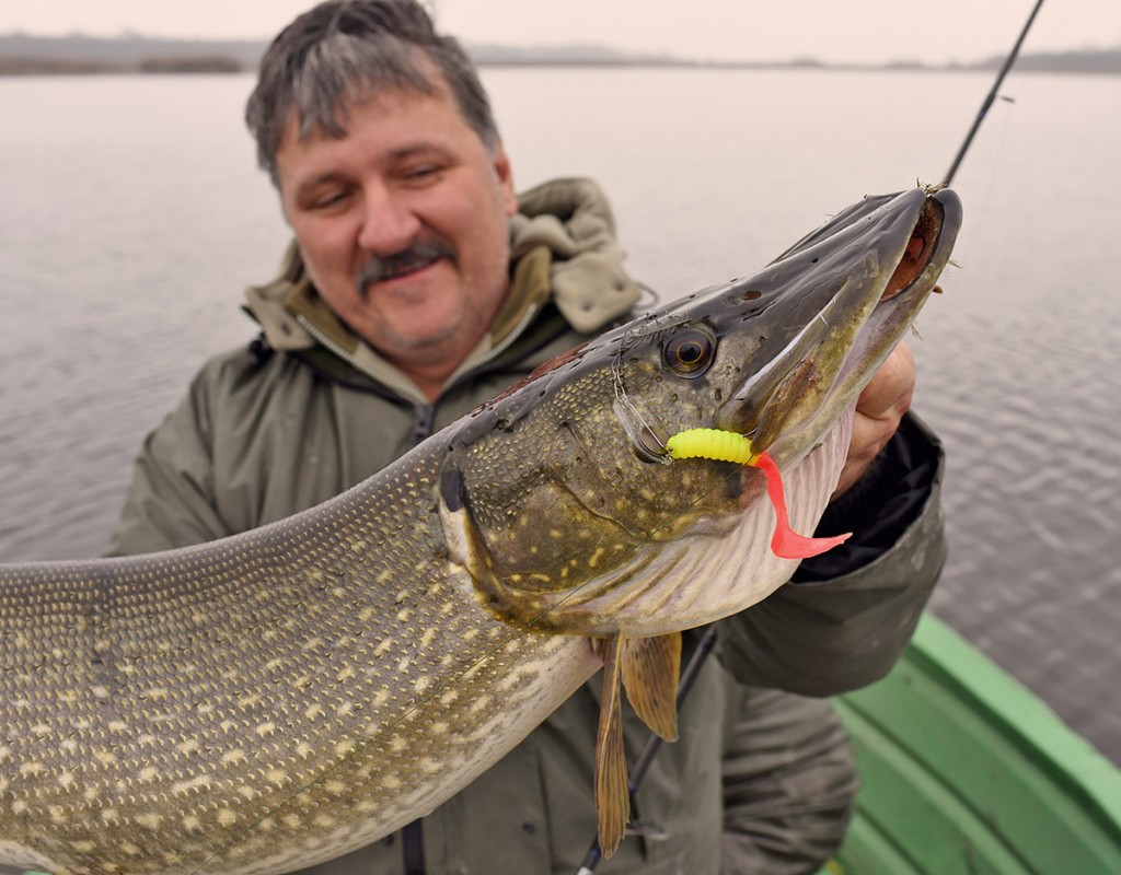 Štiky mají rády nástrahy nabídnuté s winged jig-em, proto k této prezentaci doporučuji wolframové lanko 